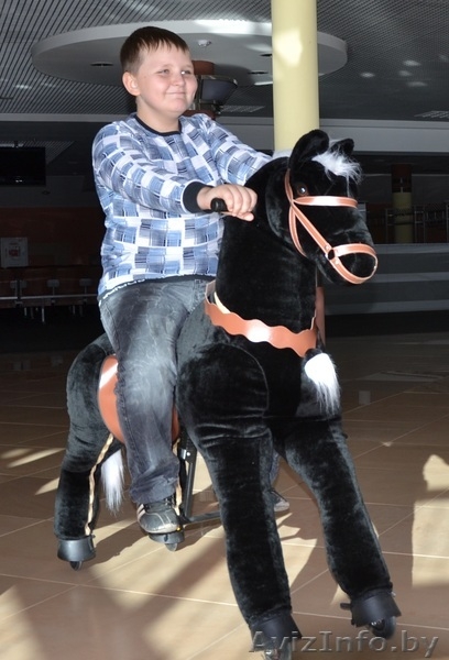  НА ПОНИЦИКЛАХ ВЕРХОМ - Изображение #4, Объявление #1058496