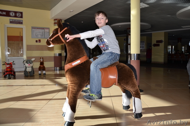 ВЕРХОМ НА ПОНИЦИКЛАХ - Изображение #2, Объявление #1058253