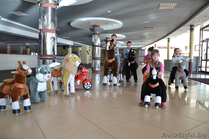 ВЕРХОМ НА ПОНИЦИКЛАХ - Изображение #1, Объявление #1058253