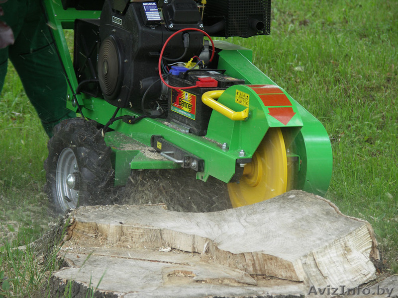 Дробление пней,  удаление пней на участе. - Изображение #1, Объявление #1124654