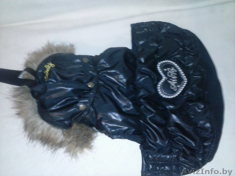 Продам костюм для собаки я не ношаная  - Изображение #1, Объявление #1151402