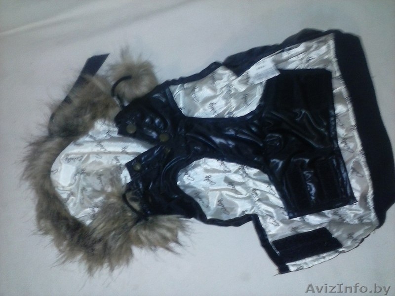 Продам костюм для собаки я не ношаная  - Изображение #2, Объявление #1151402