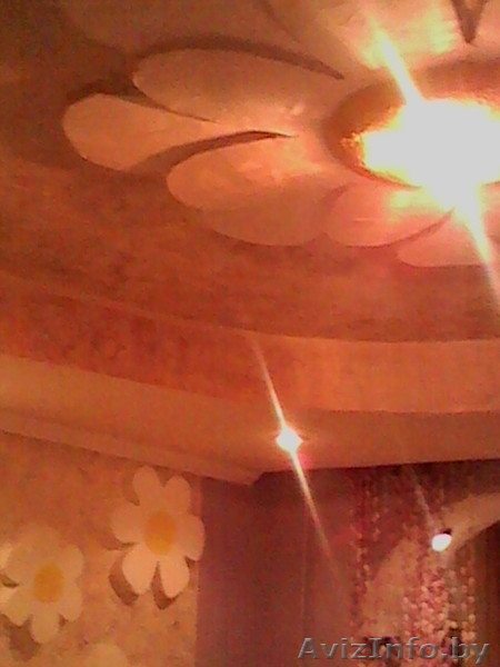  хорошоя однакомнатная квартира - Изображение #3, Объявление #1189640