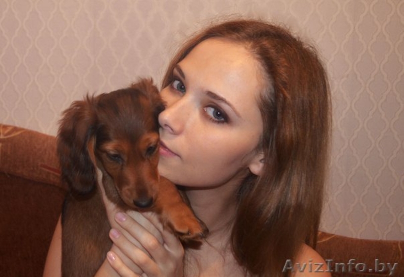 Продаются токсята - Изображение #2, Объявление #1222293