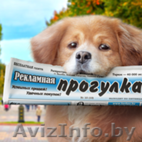  ООО "Рекламная прогулка" - Изображение #1, Объявление #1334354