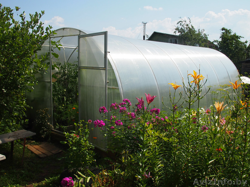 Теплица Усиленная из трубы. Бесплатная доставка - Изображение #2, Объявление #1399867