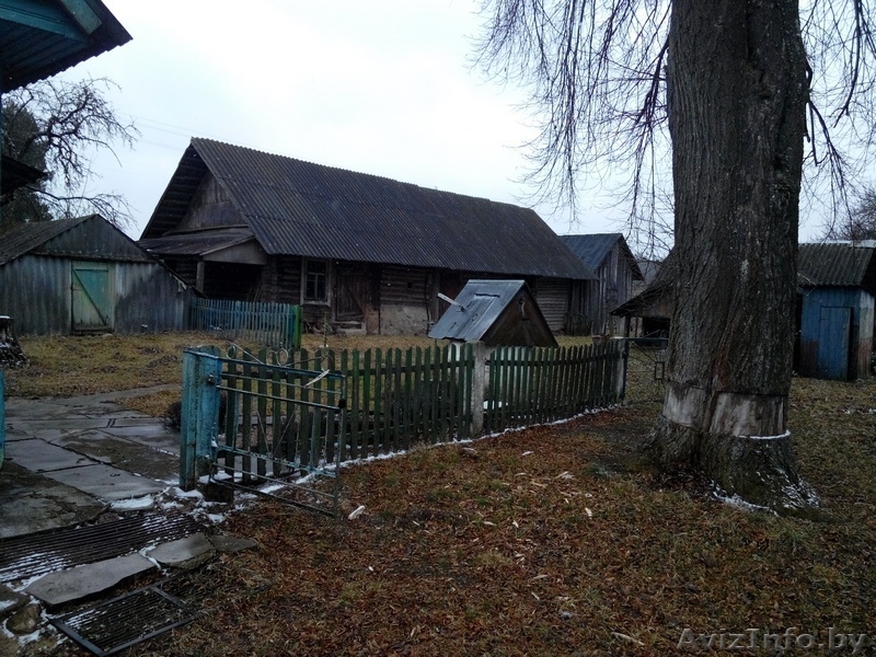Продам дом с участком и хозпостройками. - Изображение #4, Объявление #1373188