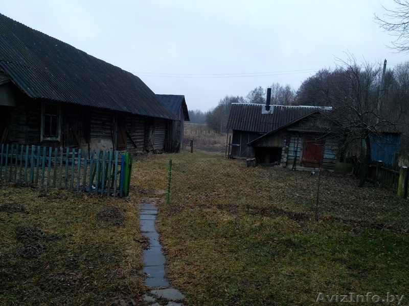 Продам дом с участком и хозпостройками. - Изображение #5, Объявление #1373188