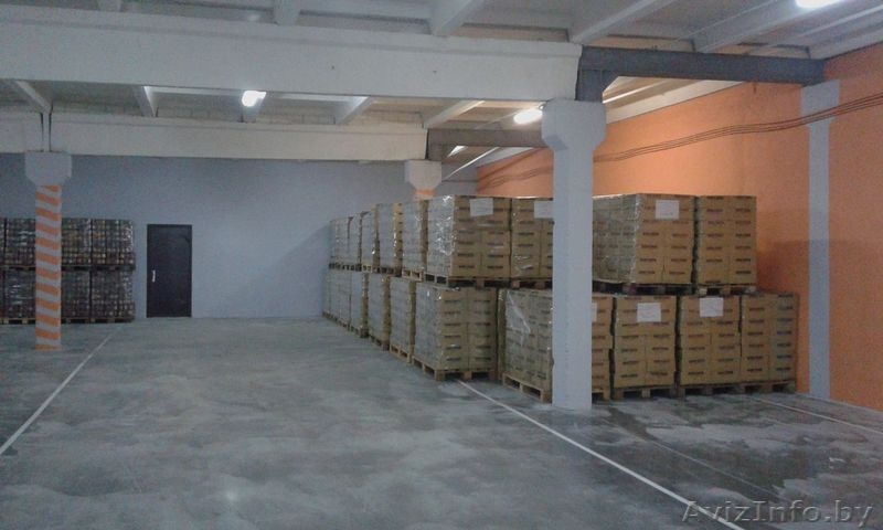 Аренда производственных помещений Молодечненский р-н, д. Красное 100-1000 м2 - Изображение #1, Объявление #1486332