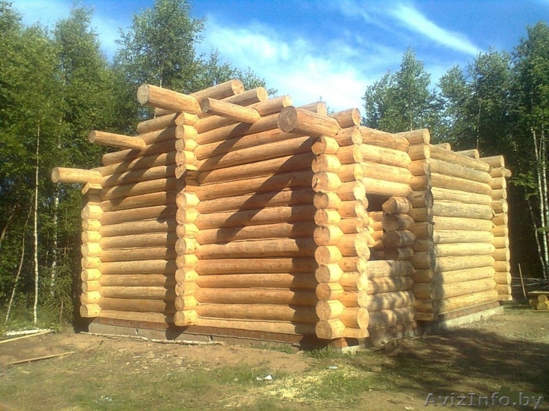 Сруб дома, бани, беседки - Изображение #2, Объявление #1494096