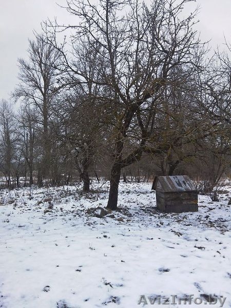 Продам дом недорого (участок 25 соток) - Изображение #5, Объявление #1550174