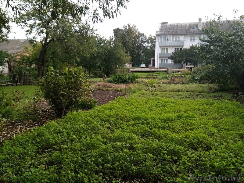 Аренда участка в Молодечно - Изображение #2, Объявление #1583539