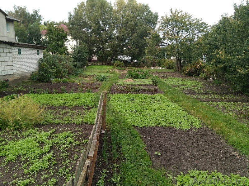 Аренда участка в Молодечно - Изображение #3, Объявление #1583539