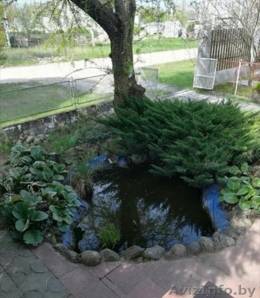 Продаётся уютный дом в Молодечно - Изображение #5, Объявление #1628408